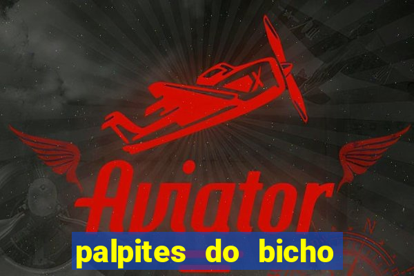 palpites do bicho no celular